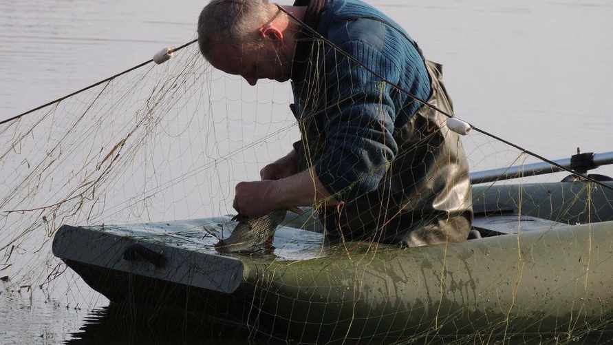 Фото иллюстративное