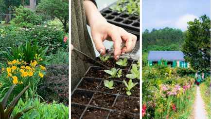 Какие цветы нужно успеть посадить белорусам в марте на рассаду и в грунт? Не пропустите эти даты