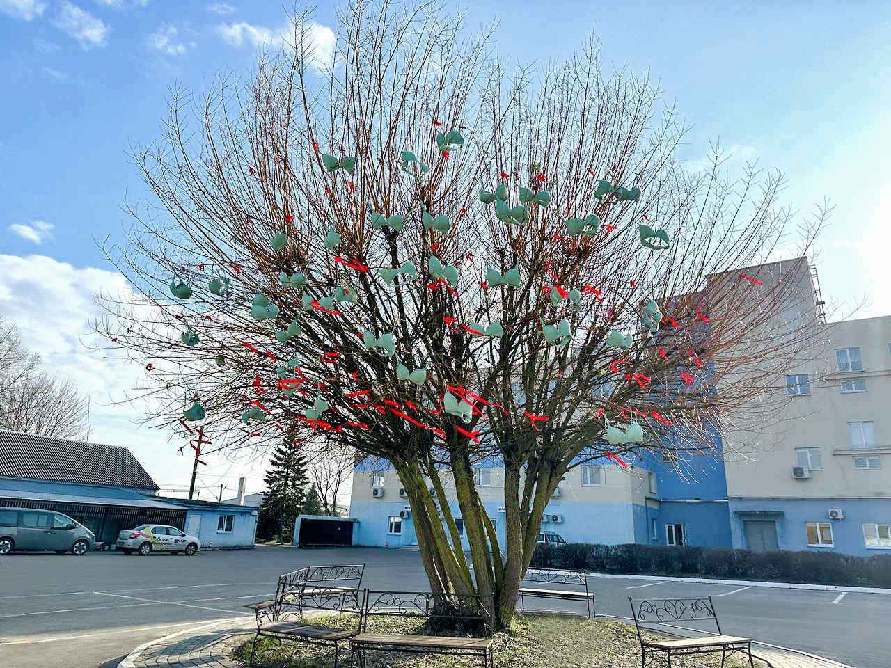 «Реализация желаний» – В Минской области на дереве вывесили десятки бюстгалтеров