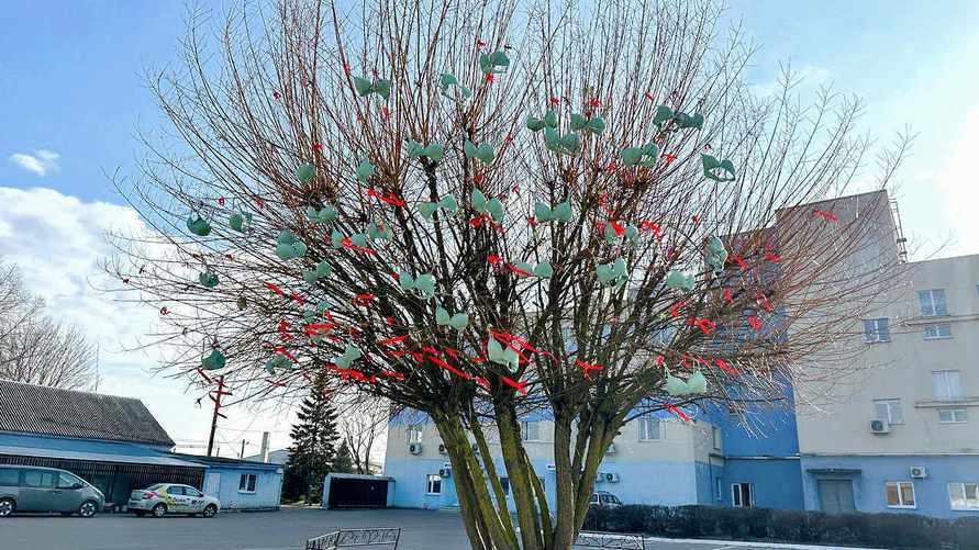 «Реализация желаний» – В Минской области на дереве вывесили десятки бюстгалтеров