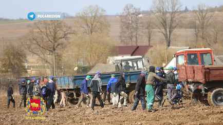 В Ошмянском районе после визита Лукашенко на поля отправили военных, студентов и рабочих заводов. Зачем?