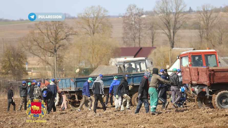 Фото: телеграм-канал Минсельхозпрода