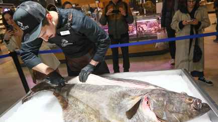 По цене нового айфона. На минский рынок привезли исландского палтуса весом 30 кг. Сколько за кило?