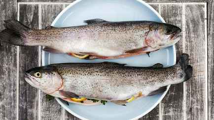 Как разморозить рыбу быстро и правильно? Рассказываем о способах, которые вы могли не знать