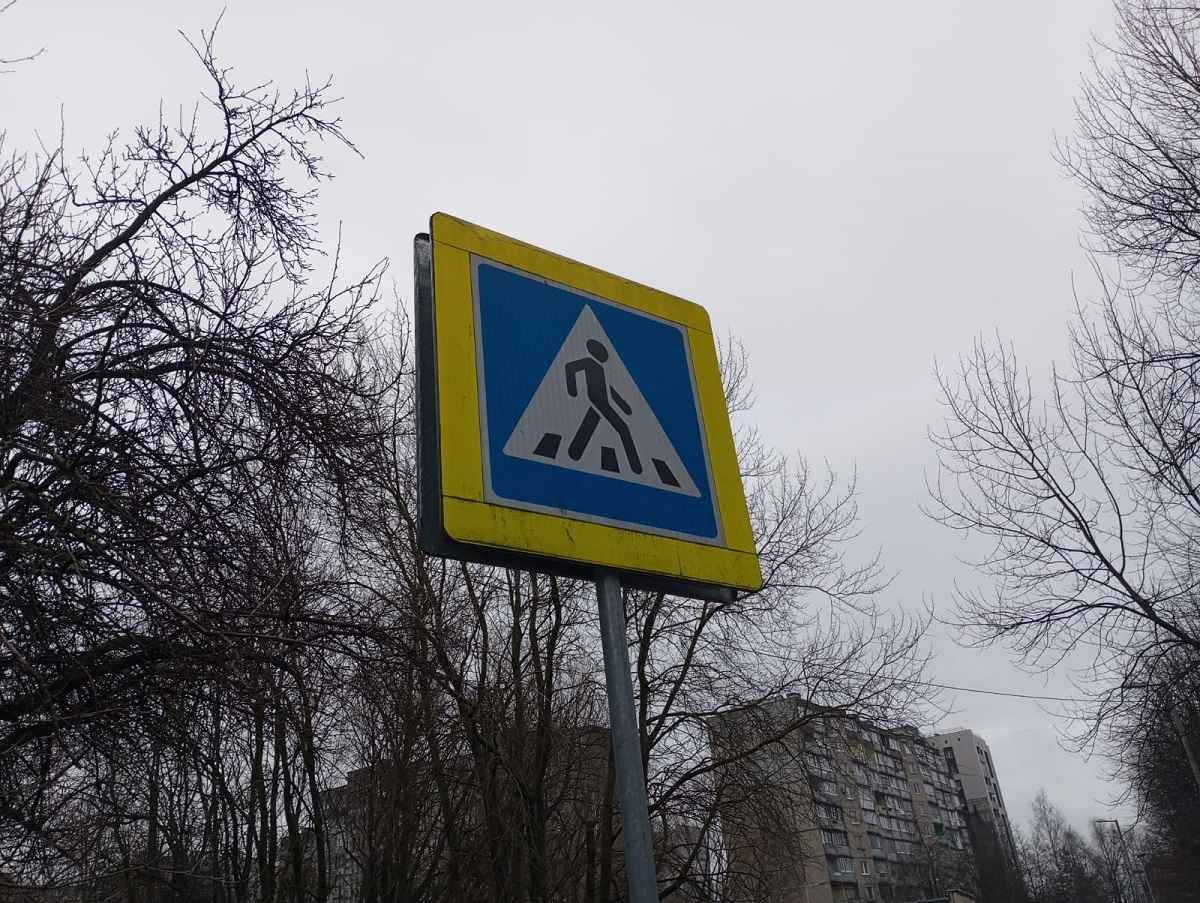 Фото иллюстрационное