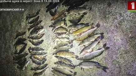 В Беларуси начали ловить рыбаков-нарушителей с помощью дронов