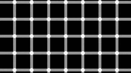 Сколько черных точек на картинке? От этой оптической иллюзии у некоторых «взорвался мозг»