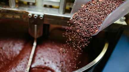 Производители начали уменьшать долю какао в шоколадках из-за роста цен. Чем заменили главный ингредиент?