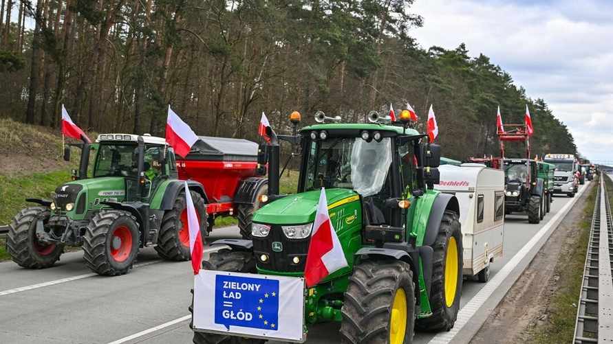 Фото: Patrick Pleul.