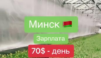 «Вылетаю в Минск первым рейсом» — Белорусам предложили работу за $70 в день. Те ответили