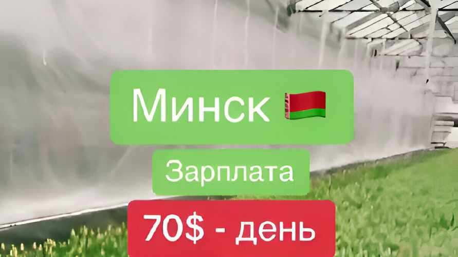 "Вылетаю в Минск первым рейсом" - Белорусам предложили работу за $70 в день. Те ответили
