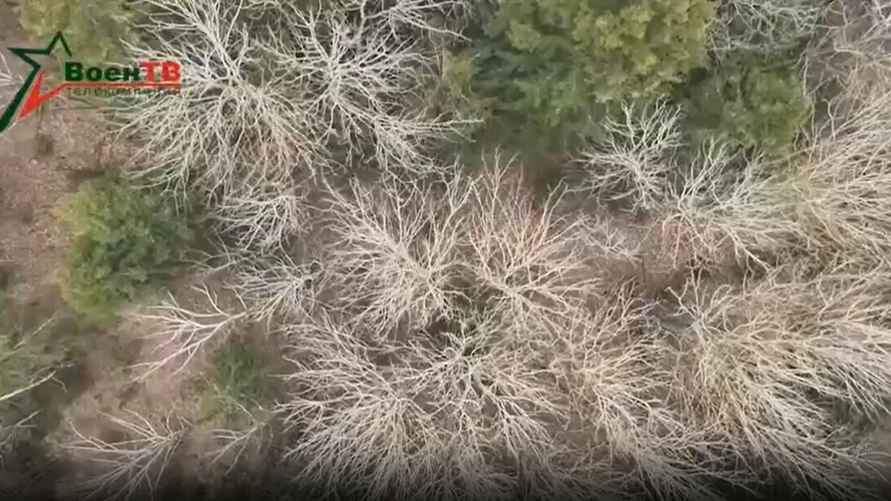 Скриншот: телекомпания "ВоенТВ"