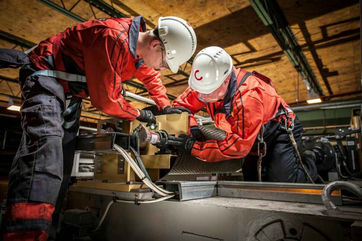 Фото носит иллюстративный характер