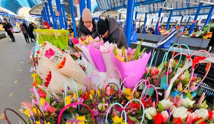 От 2 руб. за ветку. В Минске на Комаровке открылся «Большой цветочный базар». А что в других городах?