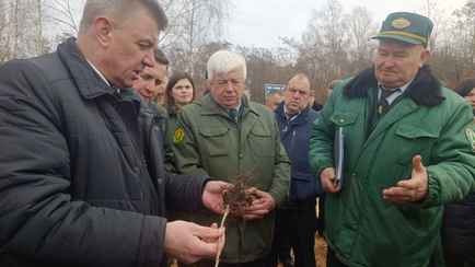 «Должны быть в интернете» — В Минлесхозе потребовали больше новостей про белорусских лесников