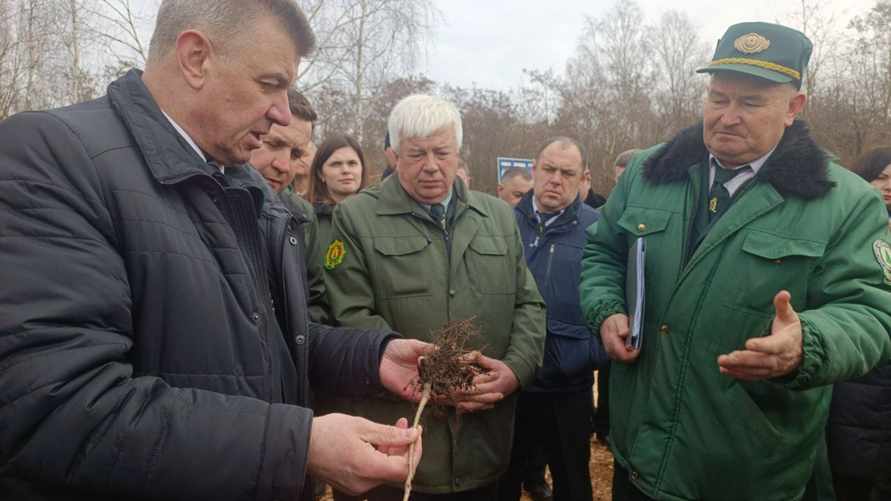 Фото: Минлесхоз РБ