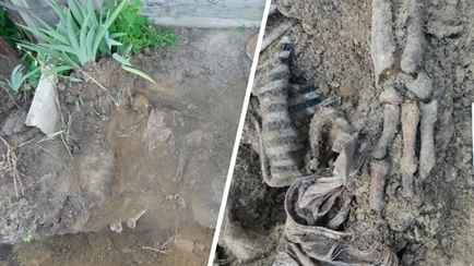 Житель Гомельской области откопал тело в своём дворе и помог раскрыть убийство