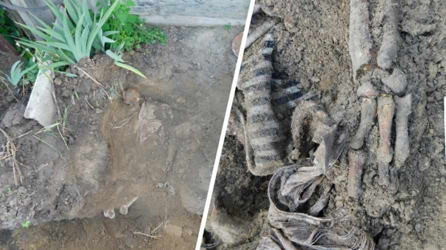 Житель Гомельской области откопал тело в своём дворе и помог раскрыть убийство