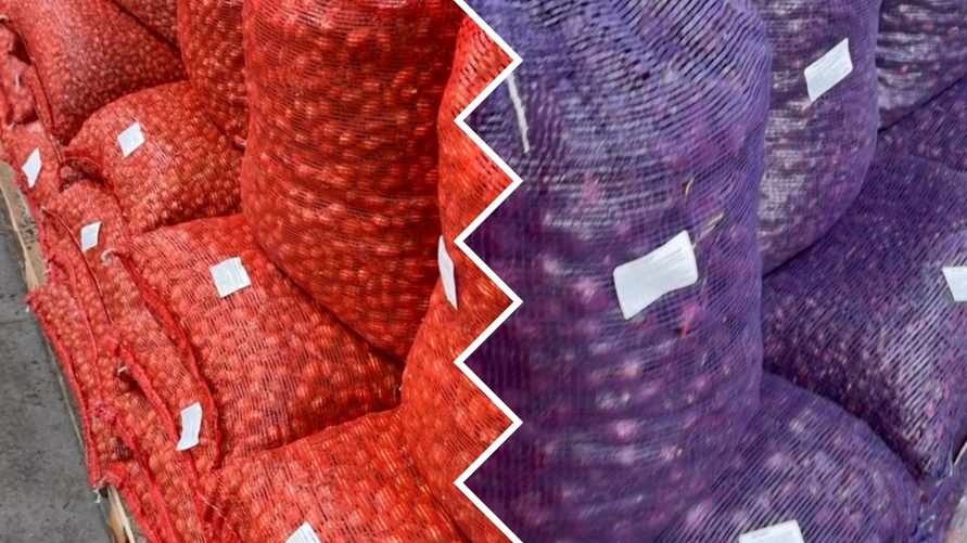 "Некоторые сорта можете и не найти" - Белорусам посоветовали быстрее купить лук-севок. Почем уже продают?