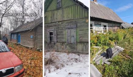 «Планируем выкупить всю деревню» — Белорусы показали, какие дома приобрели за «одну базовую»