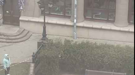 «Зачем они пилят живые деревья?» — Белорусы возмутились вырубке насаждений на улицах Минска. Что говорят чиновники?