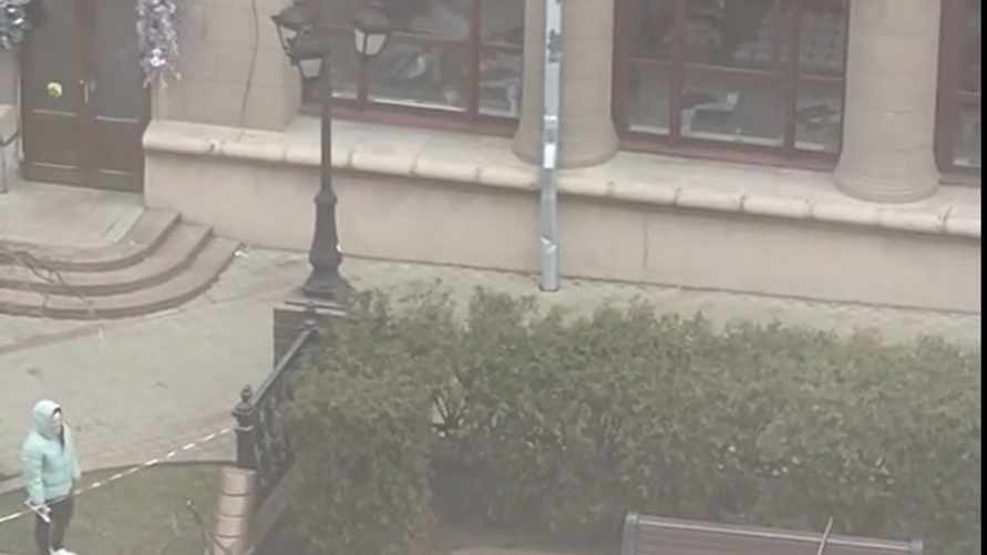 "Зачем они пилят живые деревья?" - Белорусы возмутились вырубке насаждений на улицах Минска. Что говорят чиновники?