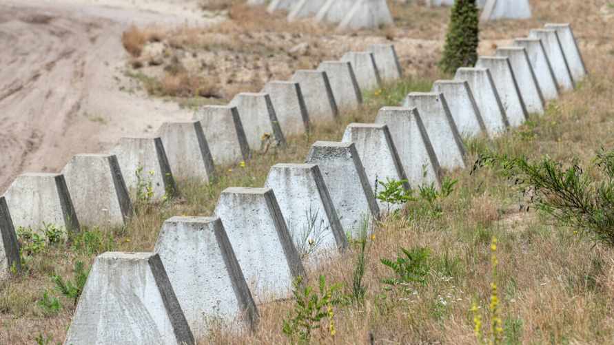 Фото носит иллюстративный характер