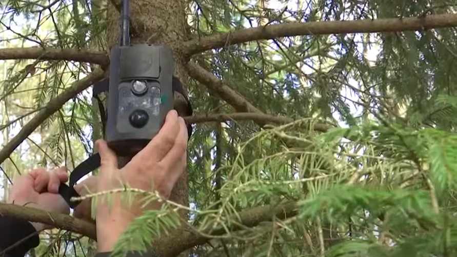 Скриншот СТВ