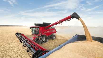 В Евросоюзе объявили о введении пошлин на белорусское зерно