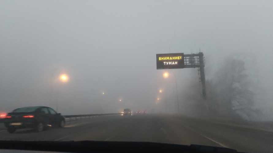 Фото: Telegraf.news