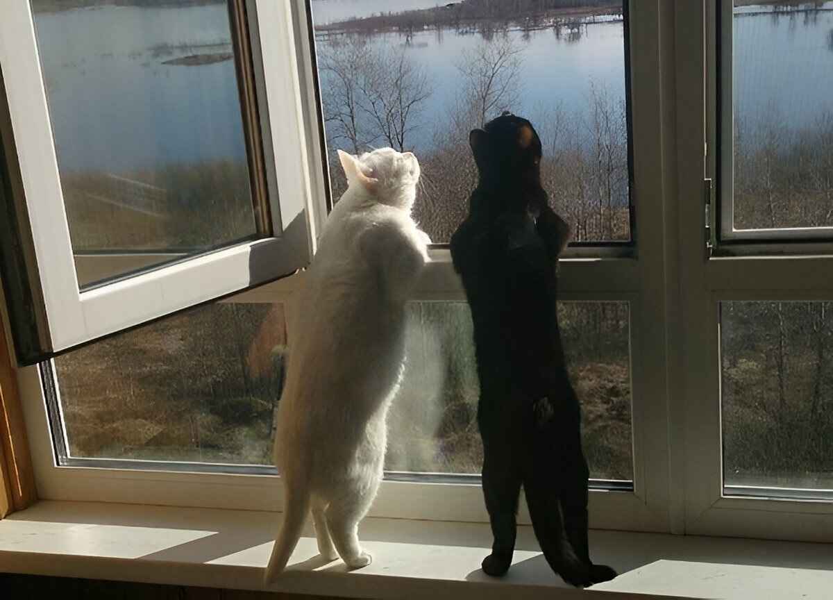 Фото иллюстрационное