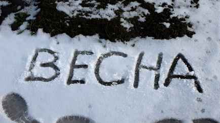 Синоптики предупредили белорусов об арктическом холоде. Какой город неожиданно станет самым снежным в середине марта?