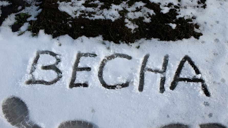 Фото иллюстрационное