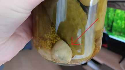 Что делать, если в банке с маринованными огурцами посинел чеснок? Узнали, стоит ли выбросить закатки