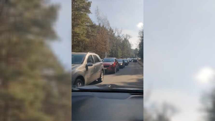 «Выкопайте новое море» - На пляж под Минском на Масленицу выстроилась огромная очередь из авто