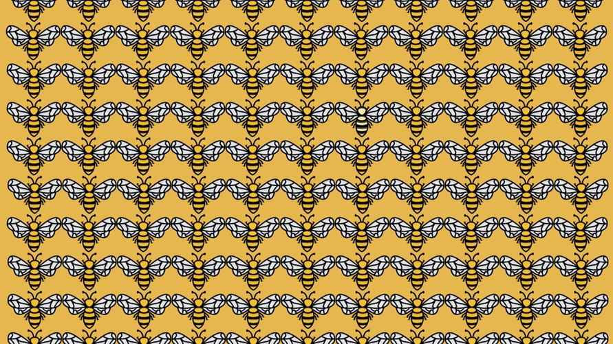 Сможете ли вы решить этот сложный тест на внимательность?