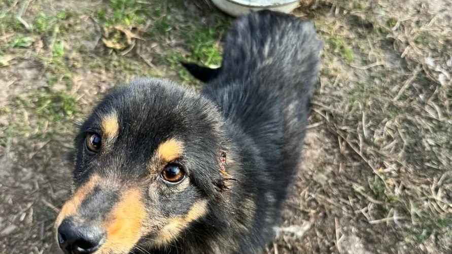 Фото: УВД Миноблисполкома