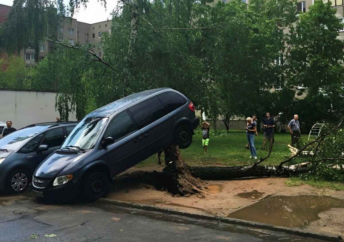 До 100 км/ч? Белгидромет объявил оранжевый уровень опасности на 2 апреля из-за штормового ветра