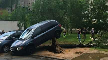 До 100 км/ч? Белгидромет объявил оранжевый уровень опасности на 2 апреля из-за штормового ветра