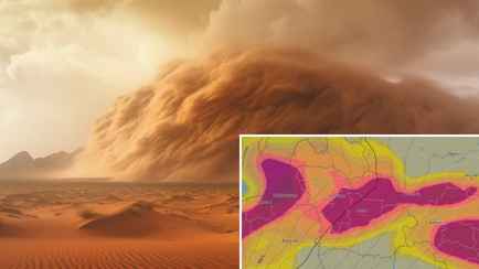 Беларусь накрыло облако пыли из Сахары. Чем опасно?