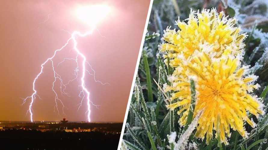 Туман, грозы и заморозки до -3°С. МЧС объявило оранжевый уровень опасности на 27 апреля в одном регионе Беларуси