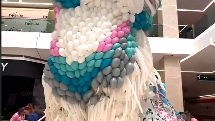 "Плакали, когда лопали" — В Казахстане экоактивисты распорядились ликвидировать фигуру кошки из воздушных шаров