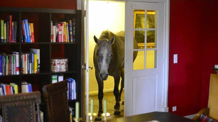 Фото носит иллюстративный характер