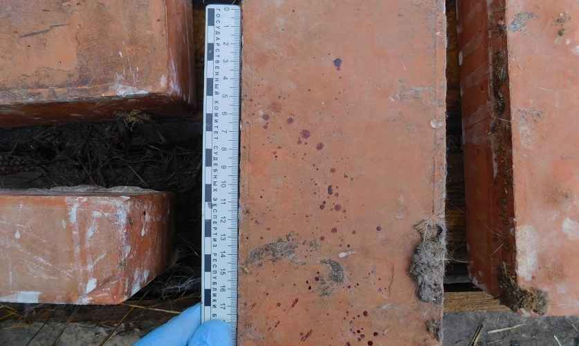 Фото: УГКСЭ по Минской области