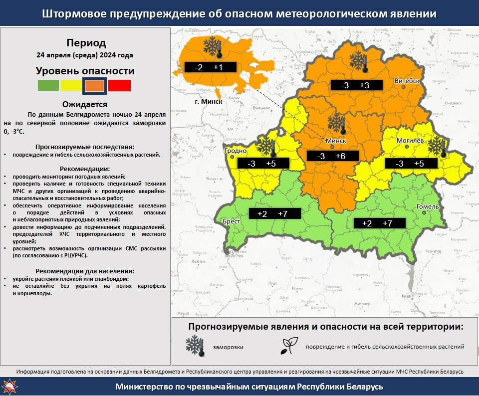 МЧС предупредило белорусов о заморозках в ночь на 24 апреля. В каких областях посоветовали укрыть растения?