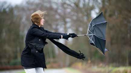 До 72 км/ч. Белгидромет спрогнозировал сильный ветер 14 апреля во многих районах Беларуси