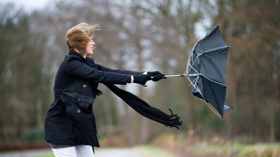 До 72 км/ч. Белгидромет спрогнозировал сильный ветер 14 апреля во многих районах Беларуси