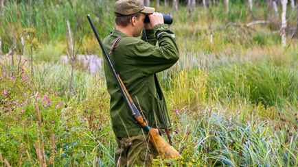 «Все чаще стали замечать на дорогах» — БООР предложило разрешить охоту на еще одного дикого зверя в Беларуси