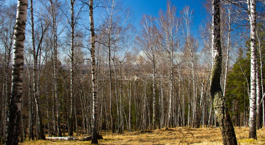 Сведения на карте отображаются в режиме реального времени