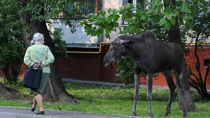 Фото иллюстрационное